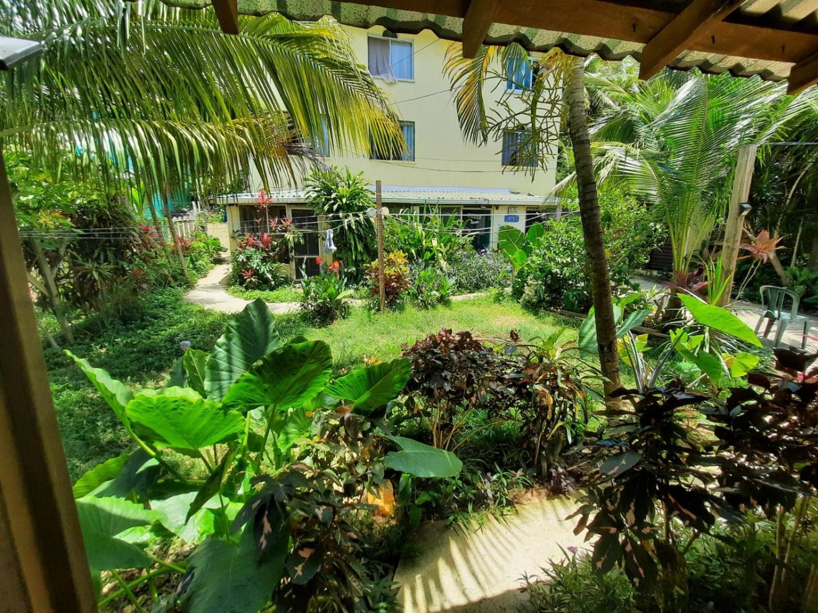 Roatan Backpackers' Hostel Sandy Bay Exterior foto